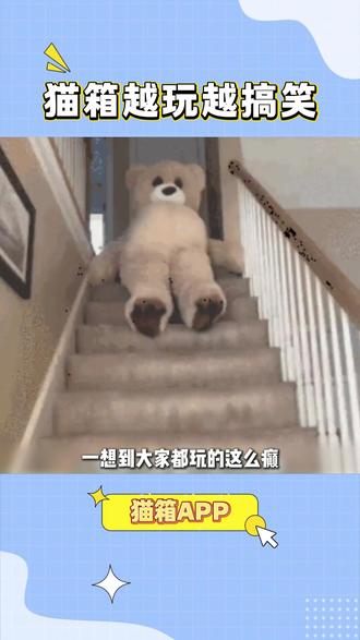 猫箱越玩越搞笑-lsm-wyp #陆昭野 #先婚后爱 #bot #猫箱