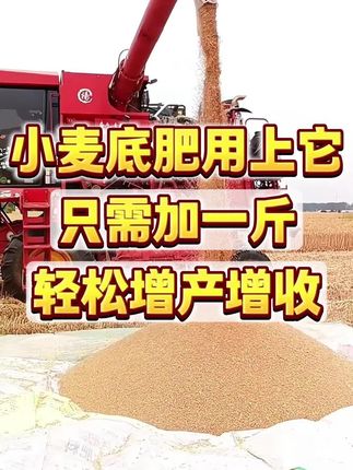 沃巴盾颗粒硼#厂家直发品质保证 #颗粒硼肥料