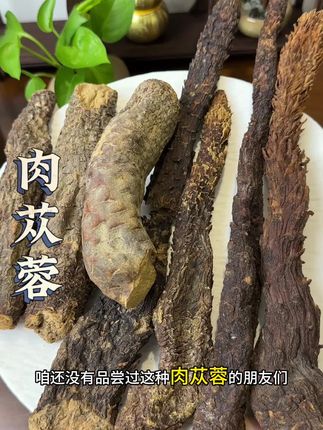 #肉苁蓉