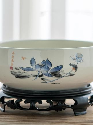 水培花盆陶瓷铜钱草一叶莲制作金钱草睡莲水莲花巴西木无孔大号盆 #水培 #花盆 #陶瓷 #好物推荐#水莲盆