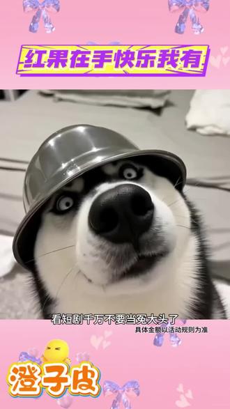 红果在手快乐我有#红果短剧 #万万没想到 #涨知识 #热门短剧推荐 #娱乐评论大赏