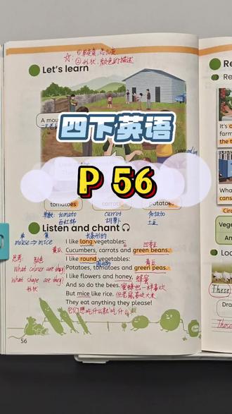 新版四下英语56页讲解 #英语课本预习 #四下英语 #课本讲解 #英语学习教材 #英语