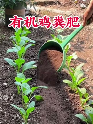鸡粪肥有机肥料,腐熟二次发酵,家用盆栽花卉绿植通用富含氮磷钾肥料#鸡粪有机肥 #鸡粪肥 #绿植花卉 #肥料 #有机肥
