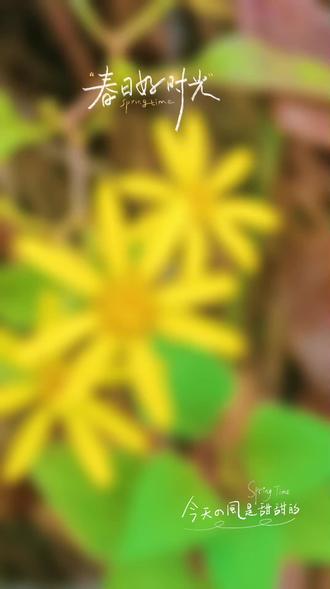 懂事的乖女儿(六)
时间过得真快,转眼间女儿就要参加中考了。中考可以说是孩子人生中第一次真正有压力的考试,结束义务教育之后,选择一所好的高中,对未来的发展确实很重要,能考上市里的重点高中,也是很多孩子和家长的心愿。按照她平时的成绩,距离重点高中还有一点差距,孩子自己也很着急,主动取消了所有周末娱乐,每天晚上都复习到很晚。从前活泼开朗的女儿,慢慢变得沉默少言,看着让人心疼。我一直劝她,就算上普通高中,凭你的实力也能进重点班,将来一样可以考上好大学,可她性子好强,一心想冲进重点高中。反复劝说后,考前一个多月,我特意让她放下书本,放松两个周末,第一个周末带她上山露营、看星星,第二个周末带她去泡温泉、好好休息。两场放松下来,那个自信、阳光、可爱的乖女儿终于又回来了。我相信,中考她一定能放平心态,正常发挥,考出属于自己的真实成绩。#花花草草