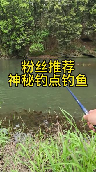 粉丝推荐神秘钓点钓鱼#原来钓鱼才是抖音运动顶流