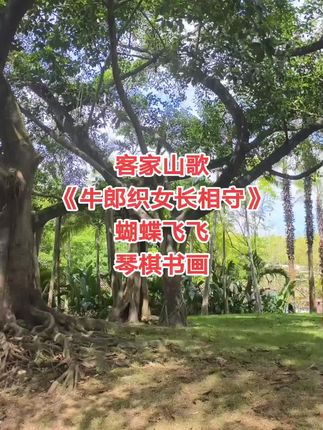不必问天长地久,鹊桥一瞬,抵不过人间朝暮。@蝴蝶飞飞