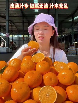 什么季节吃什么水果,现在这个季节就是吃四川爱媛果冻橙的好时候