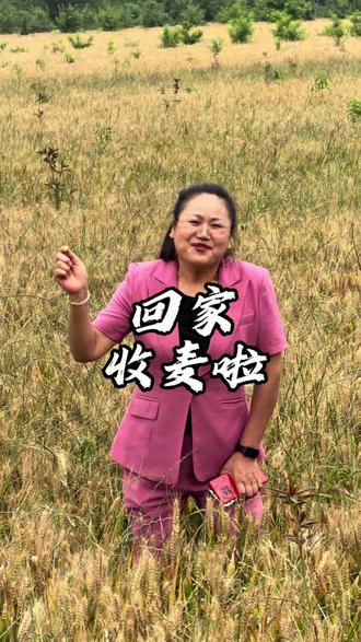 平舆的老乡,你啥时候回来收麦啊?#平舆 #河南 #河南收麦 #收麦 #收麦子了都回老家了吗