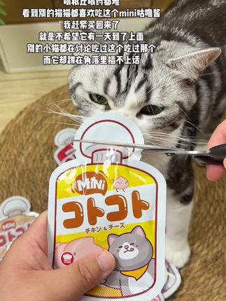 #地狱厨房#咕噜酱#地狱厨房咕噜酱#吃货猫 #太好吃了