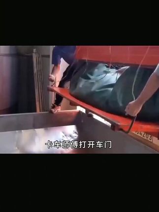 #葡萄酒 #贺兰山葡萄酒