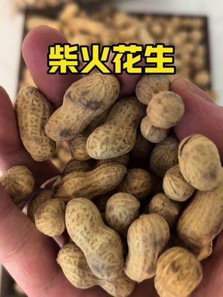 农家大铁锅柴火炒的花生,真香,2袋2斤只要14块多#铁锅花生 #花生 #柴火花生 #࿆口࿆感࿆特࿆别࿆好࿆