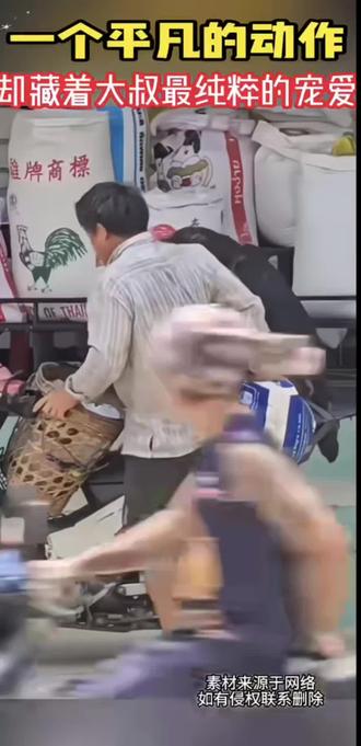 #看一遍笑一遍 #硬核大爷 #视频来自网络 #讨论 #万万没想到 和狗的感情真好