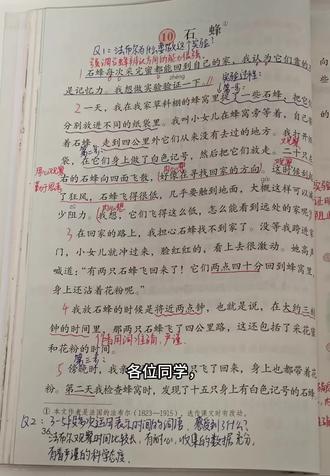 #三年级下册语文课堂笔记 #创作者中心 #创作灵感 三年级下册语文石蜂🐝#石蜂 #语文