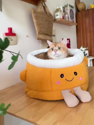 橘子猫窝#猫窝 #萌宠 #狗窝 #猫窝推荐 #保暖猫窝