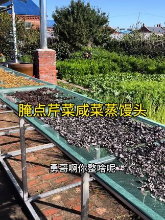 炖鱼蒸馒头腌芹菜咸菜#记录大山里的农村生活 #三农#大自然的馈赠