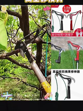 高空修枝剪,以后修枝再也不用爬高了 #采果剪 #修枝剪 #园林工具