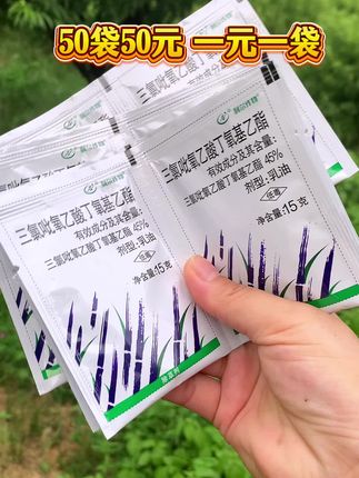 #好物推荐分享 #三农种植 果园茶园田埂荒地均可用