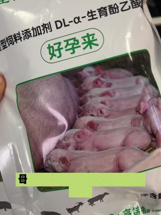 #养猪人不容易 #三农养殖 #母猪