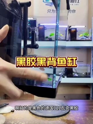 黑胶黑背金晶超白玻璃鱼缸客厅家用办公室小型桌面草缸生态溪流缸#超白鱼缸#小型鱼缸#水族用品#溪流缸