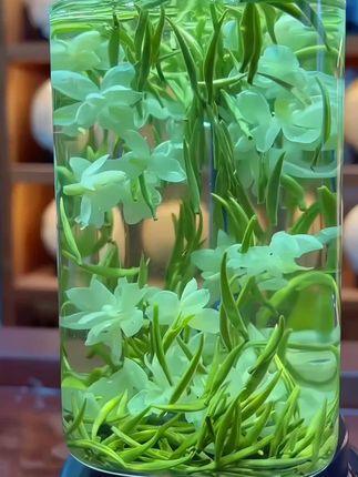 2025年新茉特级茉莉飘雪,花有花香,茶有茶韵,尝鲜价带回家#茶香四溢 #召唤茶友 #口粮茶推荐 #茉莉花茶推荐 #茉莉飘雪浓香型