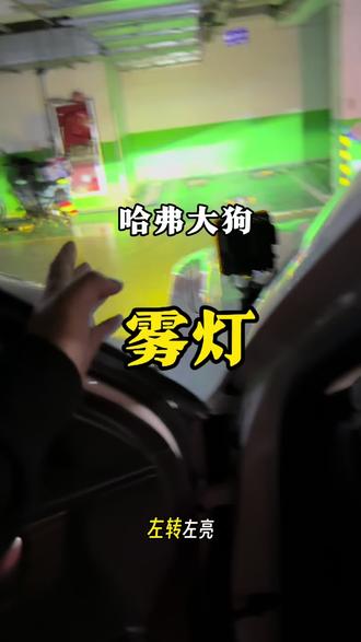 大狗雾灯 哈弗一代大狗21-26款65W雾灯展示。无损安装,比大灯亮,射程远、铺路宽#雾灯双光透镜 #哈弗大狗2026款