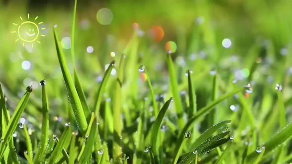 春风十里,绿意萌动。小手栽下小树苗,童心种下大希望,愿宝贝和小树一起向阳生长,茁壮成长。#植树节 #日常分享 #幼儿园手工 #同城发现 #春天