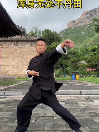 浑身无处不丹田 太极拳把身体练活了,浑身处处是丹田!#太极 #内家拳 #实用拳法 #中华武术博大精深