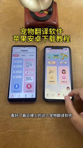《初初资源》太神奇了 居然听懂了,宠物翻译软件苹果安卓下载教程#动物翻译器 #听懂人话的动物 #猫语翻译器 #动物成精