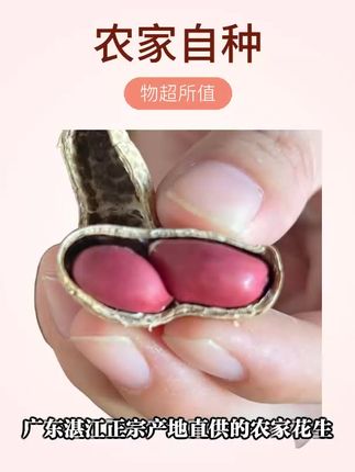 自种红皮花生酥脆饱满