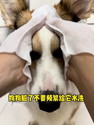 14.9到手足足50只 刷到还有库存赶紧囤#萌宠好物 #新手养狗#免洗手套#宠物洗护