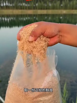 #麸皮 #鱼饲料 #饵料