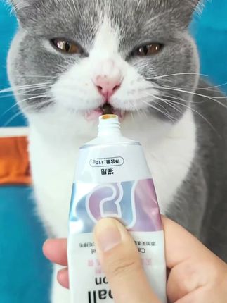 #猫咪化毛膏推荐 #俏贝丽益生菌化毛膏猫咪专用猫吐毛球鱼油维生素排毛化毛营养膏狗#宠物化毛膏@抖音小助手