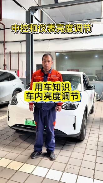 车机屏幕太亮不会调怎么办,看完这条视频你就会了!#吉利银河 #车机 #吉利 #每天一个用车知识 #祝你马上成功马上发