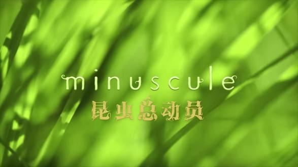 马蝇#昆虫总动员 #儿童启蒙 #自然