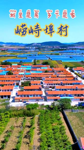 明永乐年间(1403—1425年),李姓兄弟四人李治公(迁今莱阳市西埠前村)、李述公(今海阳市鲁口村)、李桩公(今海阳市崂峙埠村、李瑶公(今海阳市留格庄镇东远牛村)自“小云南”迁此择地定居建村。明嘉庆年间(1522—1566年)徐姓先祖徐福公自行村镇廒子村(今海阳市行村镇北廒子村)迁此定居。因建村处南临黄海,地势低凹,四处有小河沟,如煮盐之鏊,村南有盐埠,故命村名鏊池埠,后演变成崂峙埠(今海阳市龙山街道)。全村有254户,600人,有徐、李等姓,其中徐、李人口基本上持平。李玉梅为本村第一名党员。李玉梅为首任村党支部书记兼村长。李丕柱为现任村党支部书记。#美丽乡村 #航拍