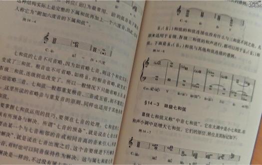 一次搞清楚和弦标记:功能vs音级 T-S-D是什么?
I-IV-V是什么?
什么是功能标记?
什么是音级标记?
#和声曲式 #音乐考研 #考研和声曲式 #和声分析 #26音乐考研
