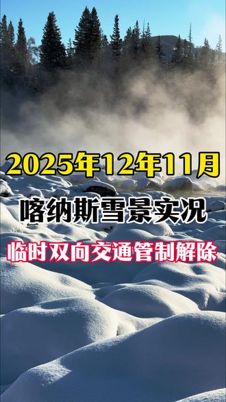 2025年12月11号喀纳斯雪景实况,上午临时双向交通管制已解除!#喀纳斯 #喀纳斯雪景 #阿勒泰旅游 #冬季阿勒泰 #阿勒泰的冬天