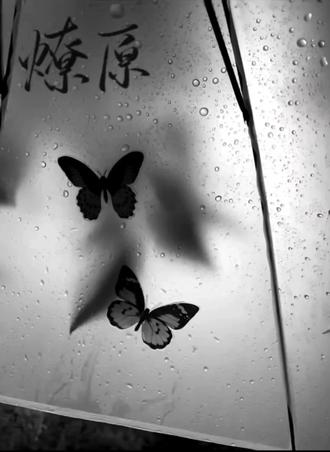 还好有言哥…
#燎原广播剧 #汤索言陶晓东