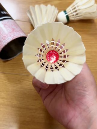 华美9号鹅毛耐打羽毛球#羽毛球 羽球人的口粮球