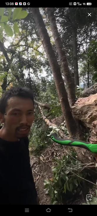 极限荒野求生,韩冰搞蜂蜜