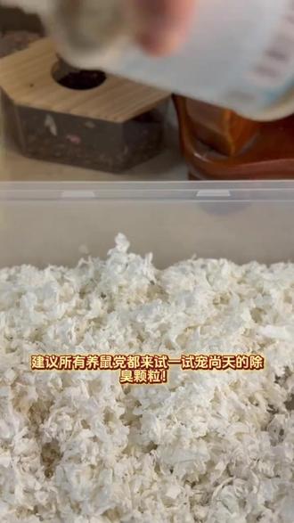 超柔软清香的仓鼠垫料,除臭必备!
#宠物好物 #清香除臭 #仓鼠垫料 #柔软垫料 #金丝熊必备