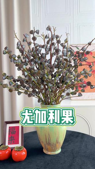 年宵氛围担当,钻石尤加利果yyds 自带冷调精致美感, 仪式感和吉祥感直接拉满~#花与生活 #居家插花 #懒人花卉 #年宵花 #尤加利果