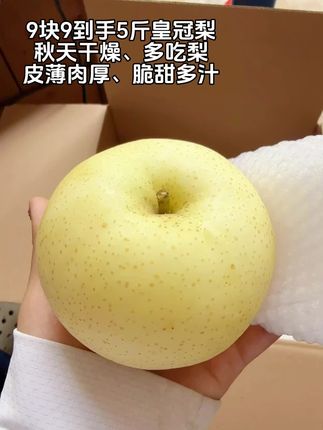 皇冠梨来啦!吃起来皮薄肉厚,脆甜多汁,果肉细腻无渣!不管是直接当水果吃,还是炖梨汤、泡梨水,都能把这份新鲜滋味拉满,大人孩子都爱吃!#皇冠梨#新鲜应季水果#脆甜多汁#超便宜超划算