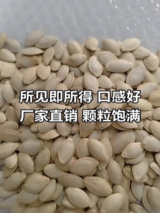 大颗粒新货南瓜子现炒现发#零食推荐 #休闲零食 #追剧小零食 #小零食 #南瓜子