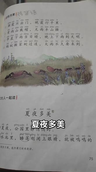 《夏夜多美》#课文配画 #小学语文课文阅读 #真实生活分享计划