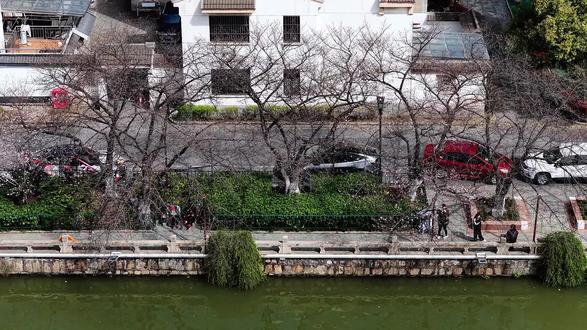别跑空!护城河樱花最新实况! 花苞刚冒头,盛花期预计要下周了,明天再报!哈哈!
#樱花 #常熟 #护城河樱花 #春日赏花 #赏花攻略