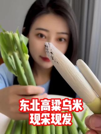 东北特产高粱乌米,生吃米香味,炖菜肉肉透透儿的,童年的回忆小时候的味道,现采现发嘎嘎新鲜#乌米 #高粱乌米 #东北特产