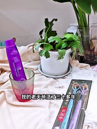 活了三十多年才发现原来我一直选错牙刷了来伸出你的手指进去这样一抠有泥一样的东西闻起来还贼臭普通牙刷只能清洁表面而牙齿最脏的地方根本清洁不到其实我们牙齿最脏的地方就是牙根的位置你看这个三面牙刷,左右两边斜,四十五度向内包裹着,能把牙齿的正面里里外外都给你刷的老干净了,连最里面的智齿都可以照顾到,刷完真的好清爽啊,用这个背面还能清洁一下舌苔,这个刷毛真的又细又密又软,现在我们全家都换上了这款,姐妹们赶紧安排试试。
