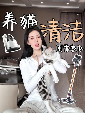 宋嘉宜(装修版)