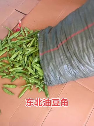 #东北油豆角#油豆角
